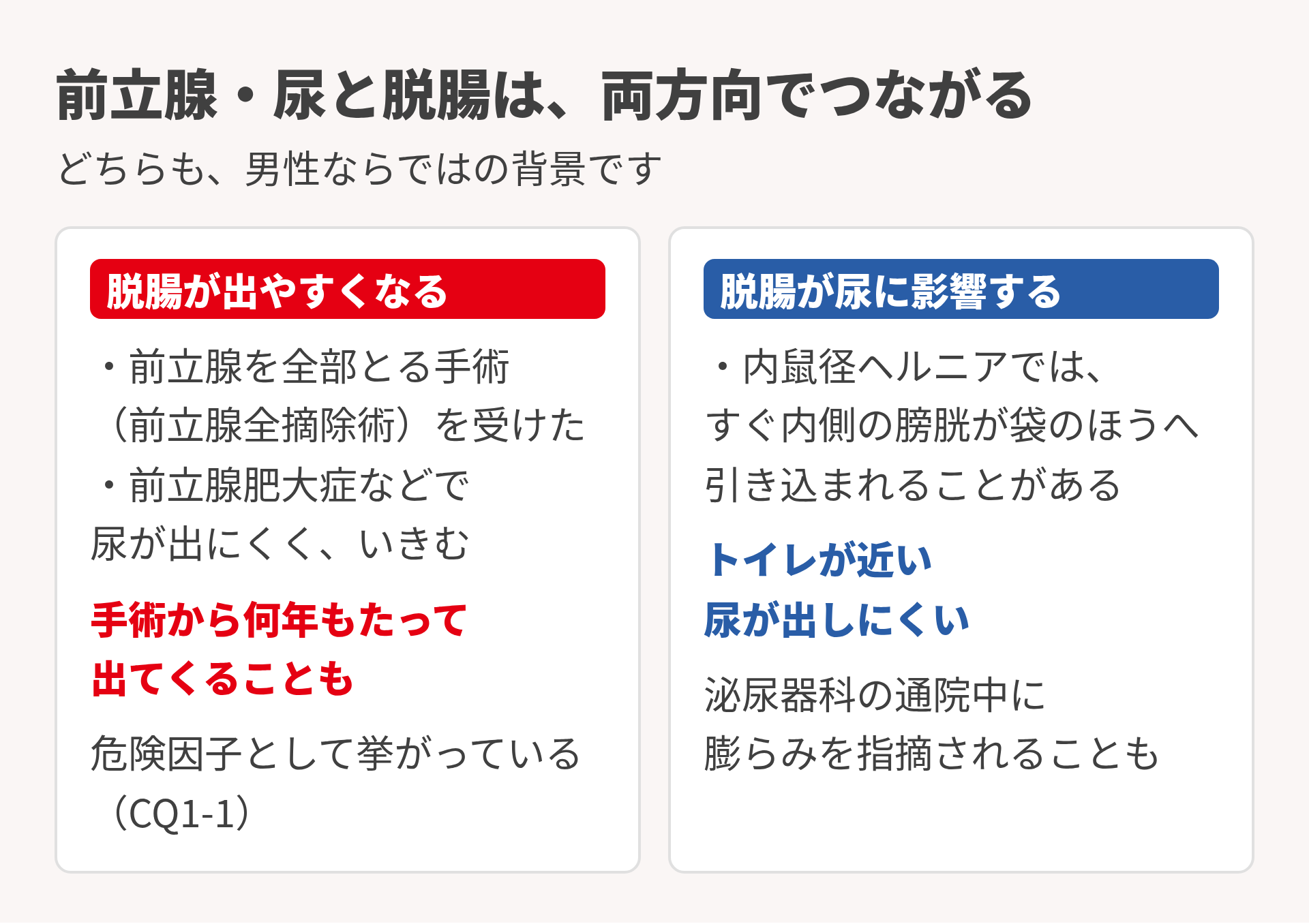 前立腺と脱腸の関係